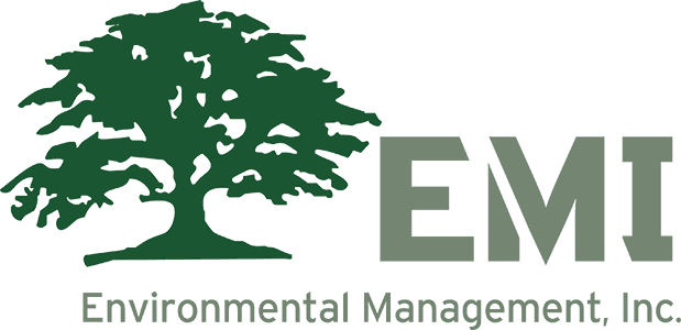 emi logo